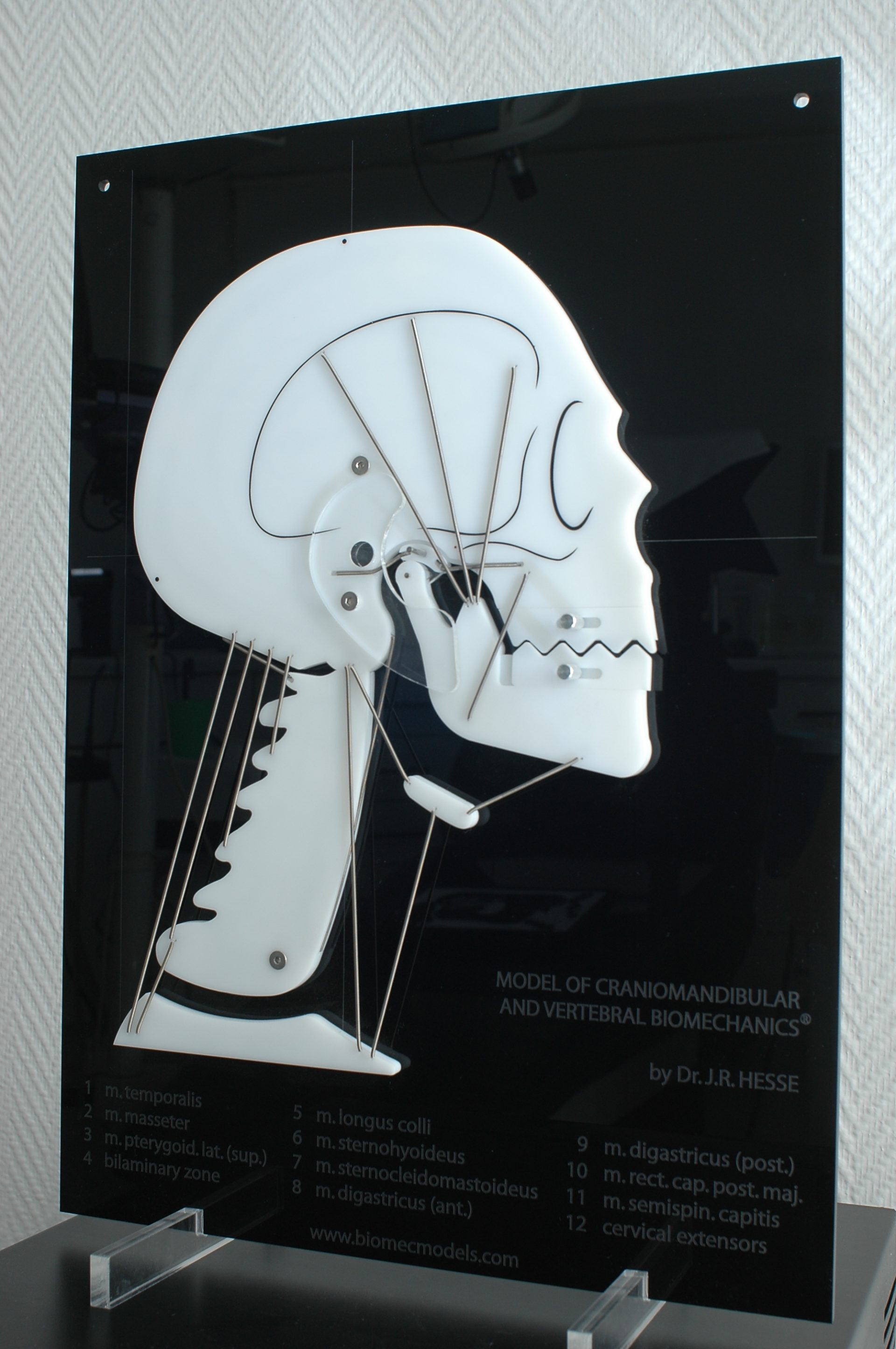 Kiefergelenkbehandlung